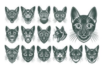 Portrait of havana brown cat face illustration design set