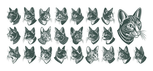 Side view of havana brown cat head illustration design bundle - obrazy, fototapety, plakaty