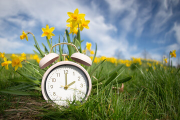 Alarm clock with daffodils flowers, switch to daylight saving time in spring, summer time...