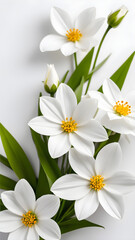 Fototapeta premium white flowers on a white background. suitable for greeting cards, and weddings. Mother's day card greeting. Elegant white flower. invitation wedding card. happy valentines day