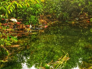 clear river water with a landscape of white sand, aquatic plants, tropical rainforest, small fish, and a very clear river in front. beautiful view