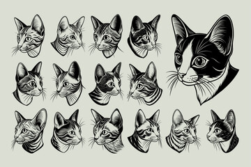 Realistic cute side view colorpoint shorthair cat head illustration design set