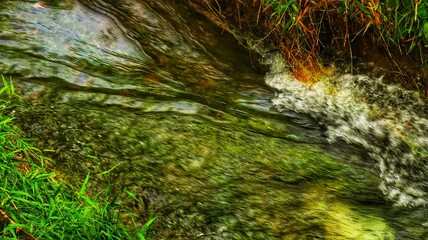 clear river water with a landscape of white sand, aquatic plants, tropical rainforest, small fish, and a very clear river in front. beautiful view