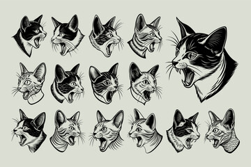 Fototapeta premium Profile side view of meowing colorpoint shorthair cat head design set