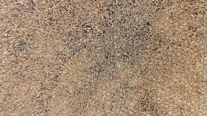 茶色い背景の質感