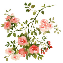 Vintage French roses bouquets watercolor illustrations - 758690650