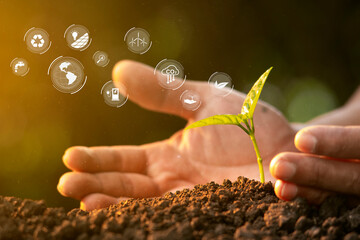 Hands of Volunteer growing and nurturing trees growing on fertile soil, with icons energy sources...