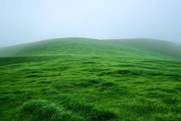 Selbstklebende Fototapeten Foggy Day on Grassy Hill © D