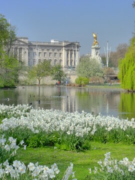 Jolie parc londonien