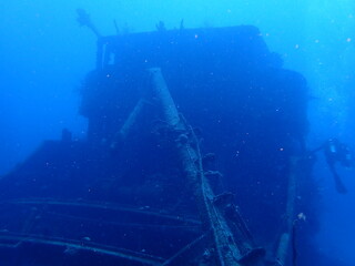 scuba diving underwater world 