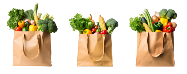 Eco friendly reusable shopping bag filled with vegetables