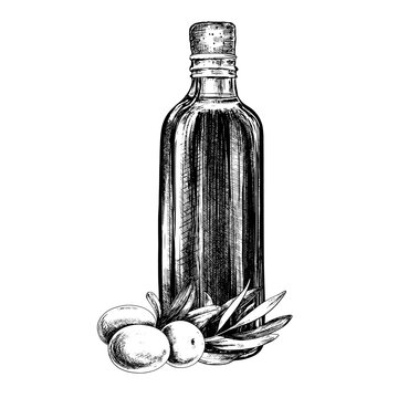 Olive oil bottle with berries vintage vector sketch drawing