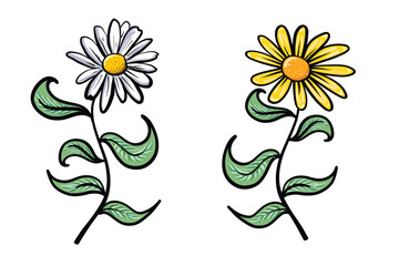 Hand Drawn Vintage Style White and Yellow Daisy Flowers Set with Leaves Hand drawn doodle vector illustration for your design Decorative retro natural daisy flowers for spring season or herbal concept