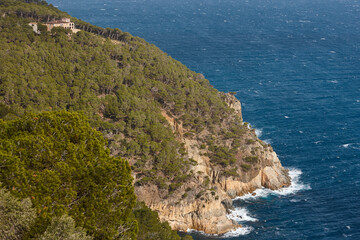 Costa Brava coastline landscape. Pinewood forest and Mediterranean sea. Girona