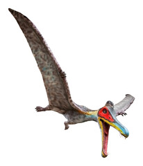 Cearadactylus is a genus of large anhanguerid pterodactyloid pterosaurs from the Early Cretaceous period © Around Ball