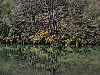 abstract landscape of a forest reflected in the river