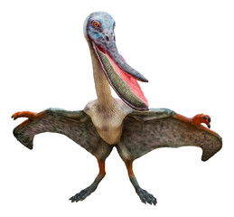 Pterodaustro is a genus of ctenochasmatid pterodactyloid pterosaur and lived in the Early...
