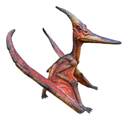 Pteranodon is a genus of Pterosaur and lived during the late Cretaceous period © Around Ball