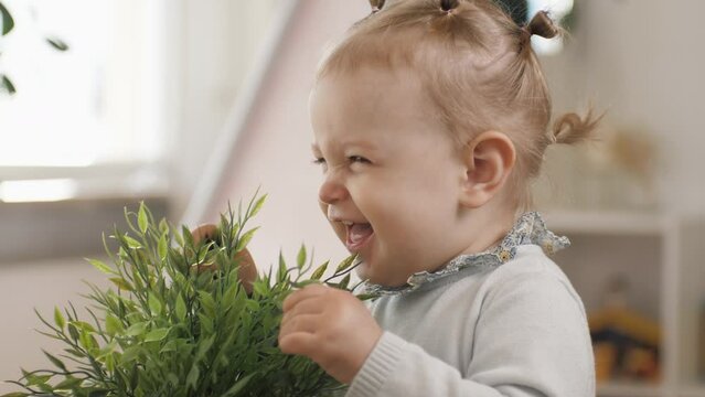 Little cute baby girl smiling and playing with green plant. The child sits on his mother's lap. Mom tickles the baby