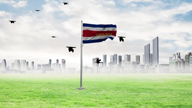 The flag of Malaysia is flying and the birds are flying with it