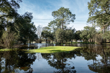 Um parque alagado emergindo na exuberância da floresta