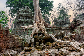Ancient ruins of the Ta Prohm temple complex in Cambodia.