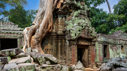 Fototapeta premium Ancient ruins of the Ta Prohm temple complex in Cambodia.