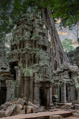 Ancient ruins of the Ta Prohm temple complex in Cambodia.