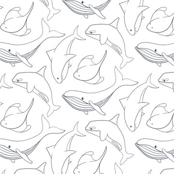 Undersea and ocean animals seamless pattern in line art style. Cute shark, blue whale, stingray and killer whale. Wild life marine creatures. Vector illustration on a white background.