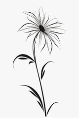 Black and white drawing of a flower