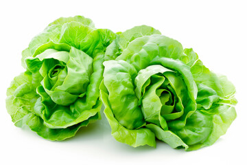 Butter lettuce isolated on white background. Fresh green salad leaves from garden - obrazy, fototapety, plakaty