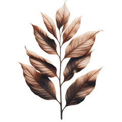 Dry leaf twig Isolated on transparent background PNG Image