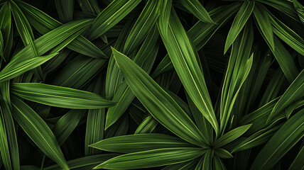 Abstract line leaves background