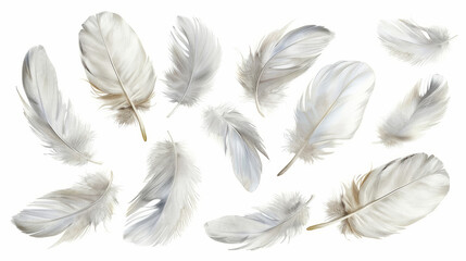 Gentle Collection of Soft White Feathers, Delicate Arrangement, airy composition