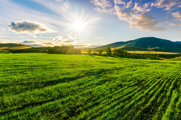 green field in countryside at sunset in the evening light. beautiful spring landscape in the mountains. grassy field and hills. rural scenery