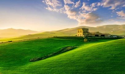 Papier Peint photo Vert green field in countryside at sunset in the evening light. beautiful spring landscape in the mountains. grassy field and hills. rural scenery
