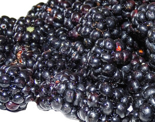 Group of fresh blackberries from Romania