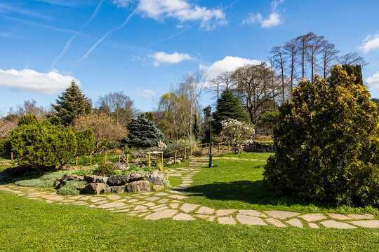 Roseraie du Parc de la T&ecirc;te d&rsquo;Or, &agrave; Lyon, au printemps