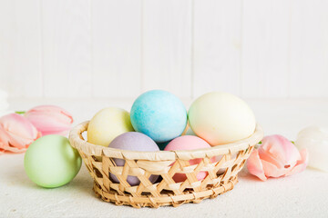 Happy Easter composition. Easter eggs in basket on colored table with yellow Tulips. Natural dyed colorful eggs background with copy space
