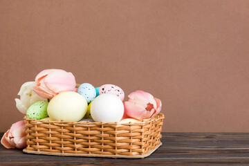 Happy Easter composition. Easter eggs in basket on colored table with yellow Tulips. Natural dyed colorful eggs background with copy space