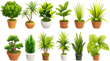 3D  Cartoon Icon Set of a Potted Houseplant Showing Growth on a White Background