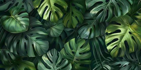 Fotobehang Abstract foliage and botanical background with green tropical forest wallpaper of monstera leaves, palm leaf, and branches in a hand-drawn pattern, suitable for banner, prints, decor, and wall art © NE97