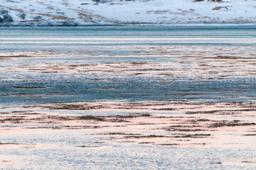 Detail of the snow-covered beaches of arctic norway, near Bodo, on a sunny day during golden hour.