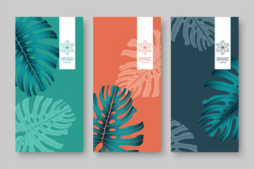Branding packaging nature leaf background, voucher logo banner, spring summer tropical, vector illustration with monstera leaves.
