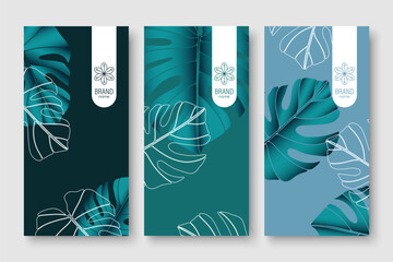 Branding packaging nature leaf background, voucher logo banner, spring summer tropical, vector illustration with monstera leaves. - obrazy, fototapety, plakaty