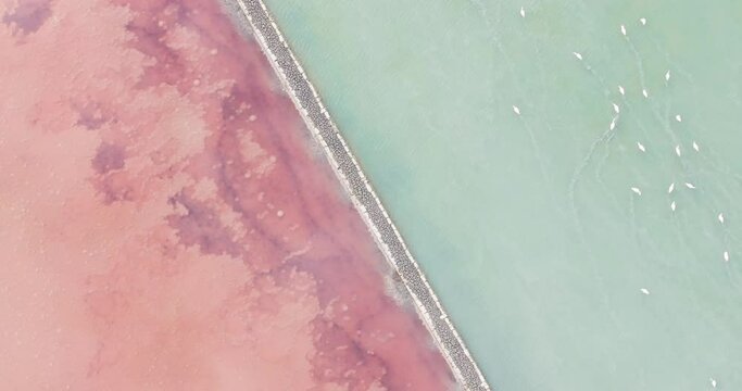 Aerial view of pink flamingo in salt flats, Marsala, Sicily, italy.