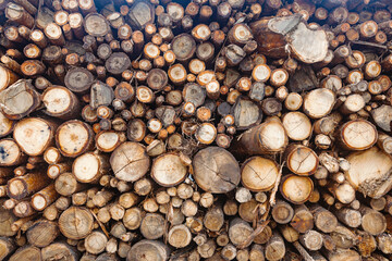 Wooden logs have been prepared and stored for transportation.