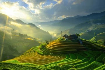 Photo sur Plexiglas Mu Cang Chai Beautiful terraced rice fields in the mountains of Vietnam, golden sunshine and beautiful sunlight. Vibrant green rice terrace fields, sunset light shines on the edge of the mountain and valley, terra