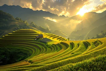Foto op Plexiglas Beautiful terraced rice fields in the mountains of Vietnam, golden sunshine and beautiful sunlight. Vibrant green rice terrace fields, sunset light shines on the edge of the mountain and valley, terra © Kien