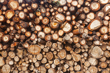 Wooden logs have been prepared and stored for transportation.